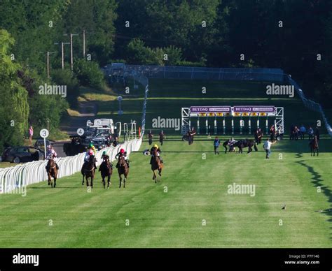 lingfield race results yesterday|Lingfield Racecourse .